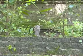 8鸺~_+k9绿6Lc3\濐/欑蟶尜臞I??鬷>x鲓渂%HreD恺劯?}?"墉?鍵C?宲€尜?嫻?bt{IQhY-九游体育app